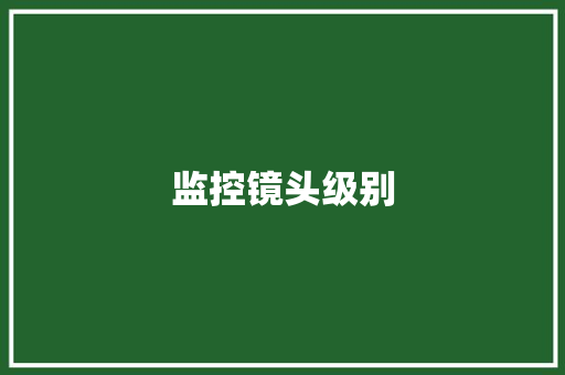 监控镜头级别 监控镜头级别 人工智能