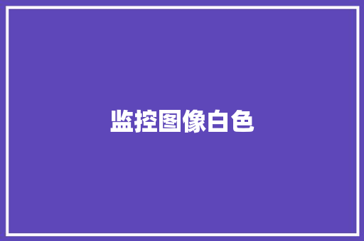 监控图像白色