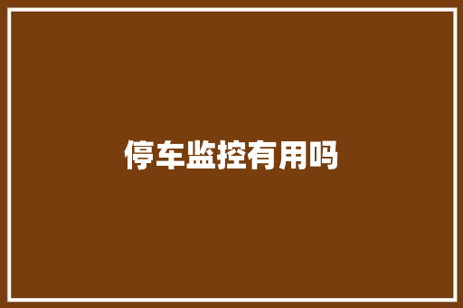 停车监控有用吗