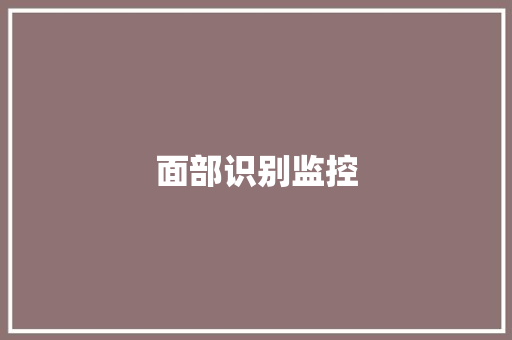 面部识别监控