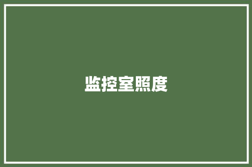 监控室照度,照度lx是什么意思。
