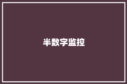 半数字监控