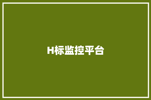 H标监控平台