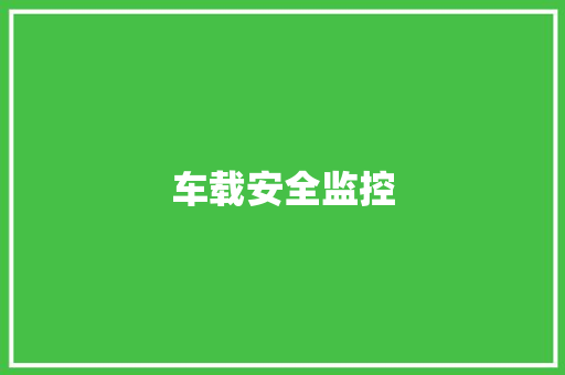 车载安全监控
