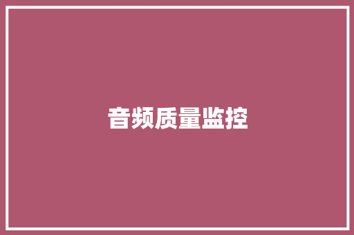 音频质量监控