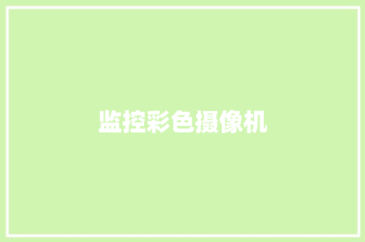 监控彩色摄像机 监控彩色摄像机 人工智能