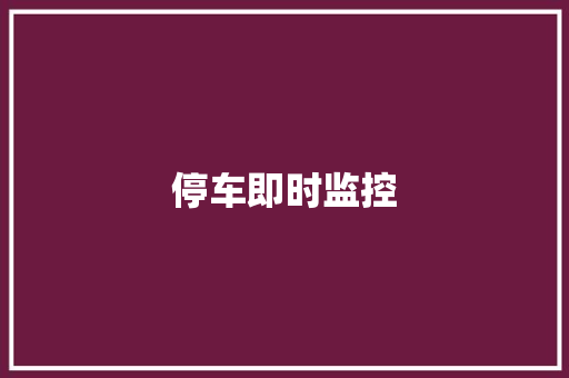 停车即时监控