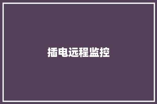 插电远程监控 插电远程监控 人工智能