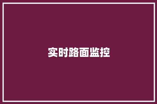 实时路面监控,摄像头监控哪个品牌好。