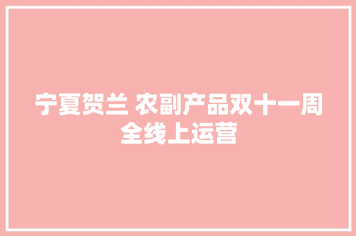 宁夏贺兰 农副产品双十一周全线上运营