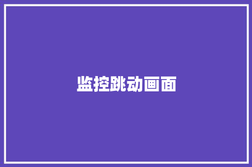 监控跳动画面,摄像机品牌前十名。