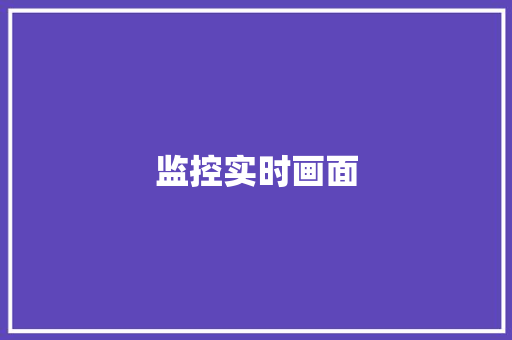 监控实时画面