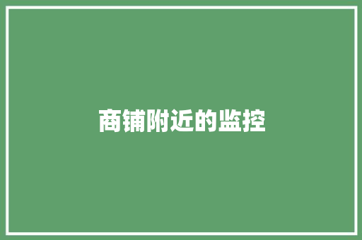 商铺附近的监控 商铺附近的监控 智能家居