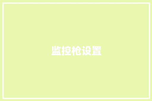 监控枪设置 监控枪设置 智能家居