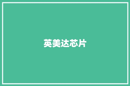 英美达芯片