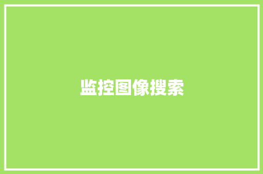 监控图像搜索,摄像机品牌前十名。