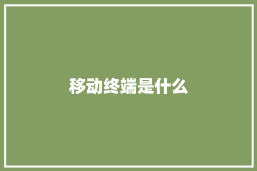 移动终端是什么