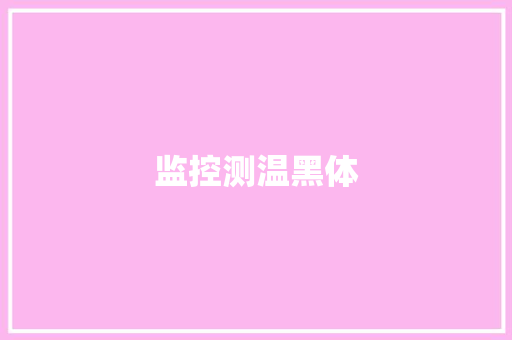监控测温黑体 监控测温黑体 人工智能