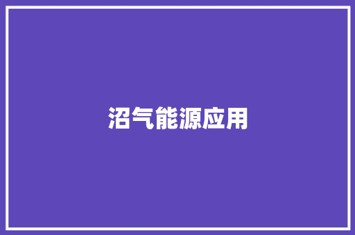 沼气能源应用,沼气的主要成分。