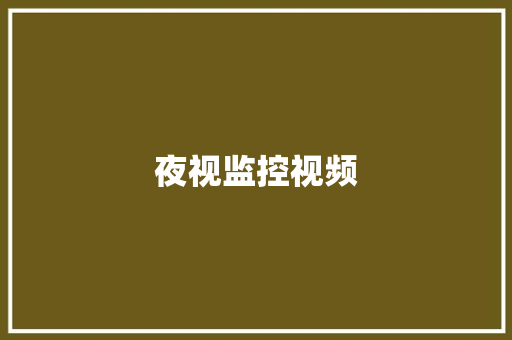 夜视监控视频