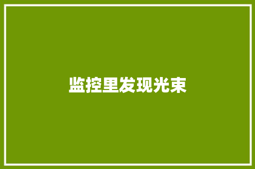 监控里发现光束