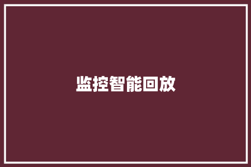 监控智能回放