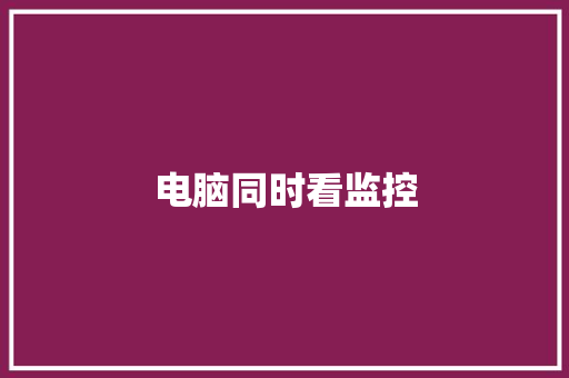 电脑同时看监控