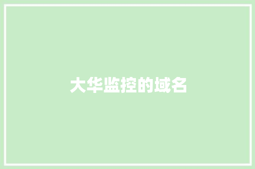 大华监控的域名