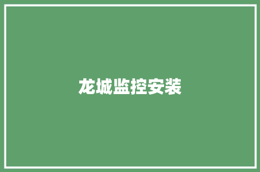 龙城监控安装 龙城监控安装 人工智能