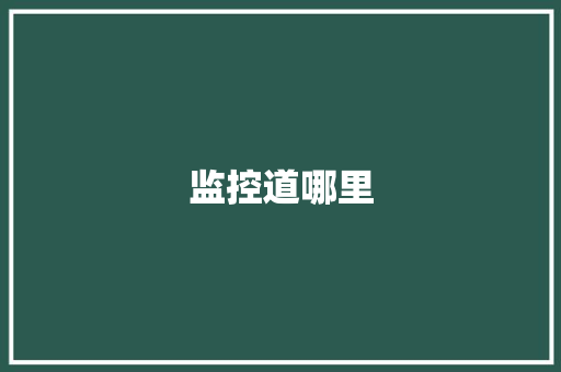监控道哪里