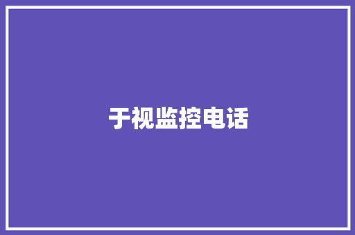 于视监控电话