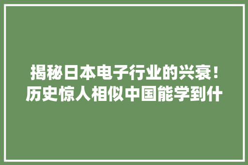 揭秘日本电子行业的兴衰！历史惊人相似中国能学到什么？| 智器械内参