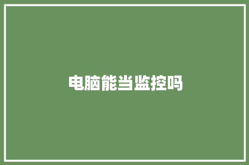 电脑能当监控吗