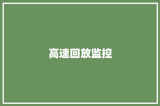 高速回放监控