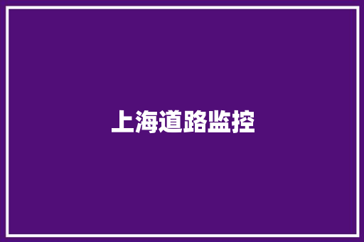 上海道路监控,电子眼停车费怎么缴纳。