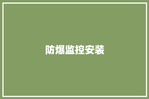 防爆监控安装