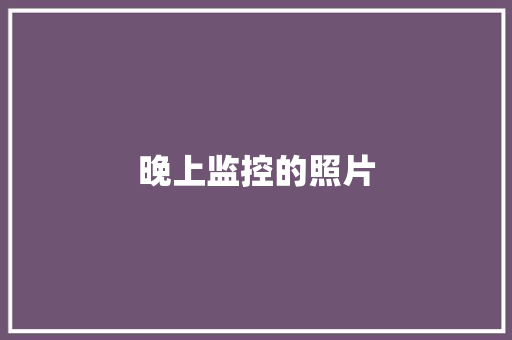 晚上监控的照片