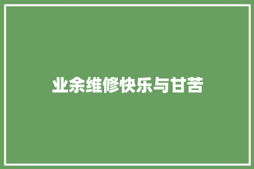业余维修快乐与甘苦
