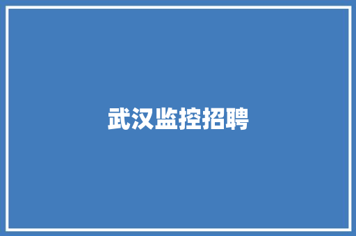 武汉监控招聘 武汉监控招聘 人工智能
