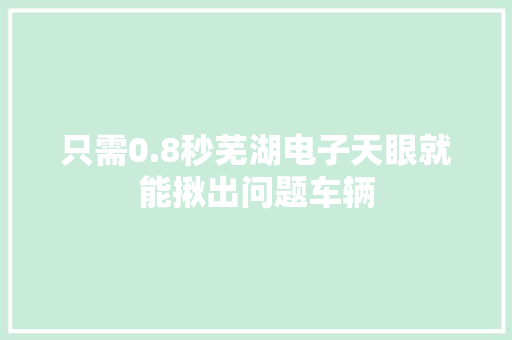 只需0.8秒芜湖电子天眼就能揪出问题车辆 只需0.8秒芜湖电子天眼就能揪出问题车辆 智能科技