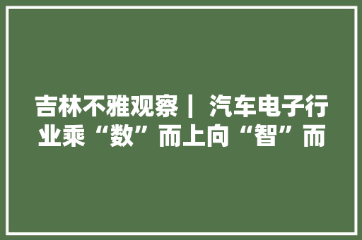 吉林不雅观察｜ 汽车电子行业乘“数”而上向“智”而行