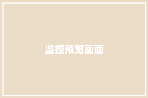 监控预览画面