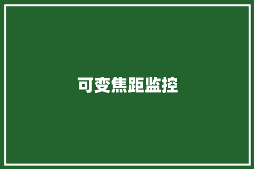 可变焦距监控