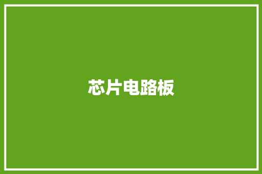 芯片电路板