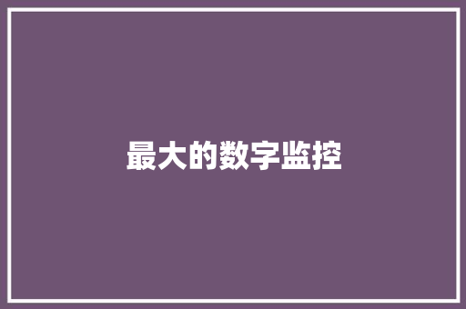 最大的数字监控