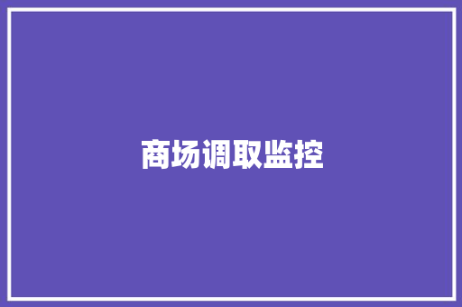 商场调取监控
