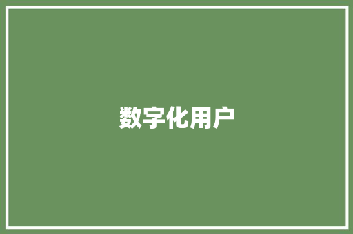 数字化用户,数字化转型是什么意思。