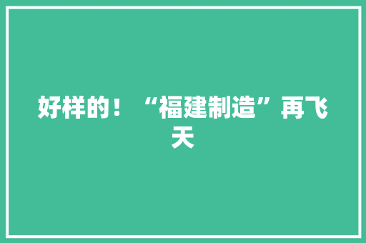 好样的！“福建制造”再飞天 好样的！“福建制造”再飞天 人工智能
