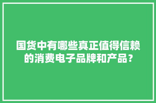 国货中有哪些真正值得信赖的消费电子品牌和产品？