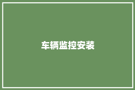 车辆监控安装 车辆监控安装 智能家居